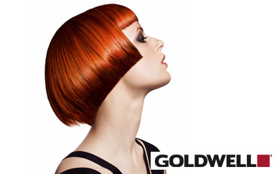 Goldwell Hair Dye and Bleach provided by George's Salon